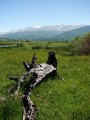 DSC00085